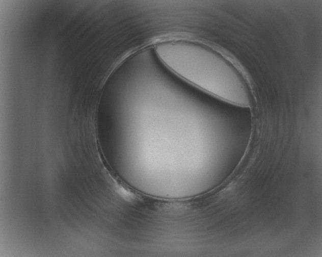 X0000073521337200607310940