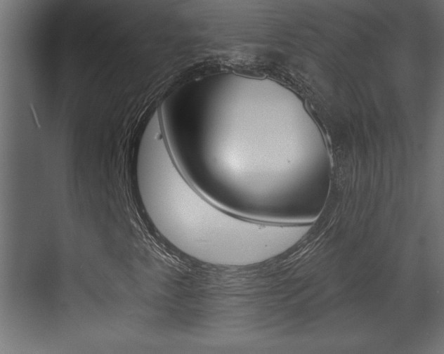 X0000073521345200607310939