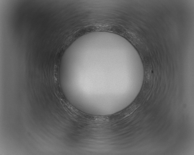 X0000073521346200607310939
