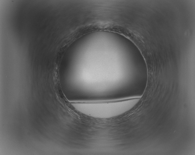 X0000073521349200607310939