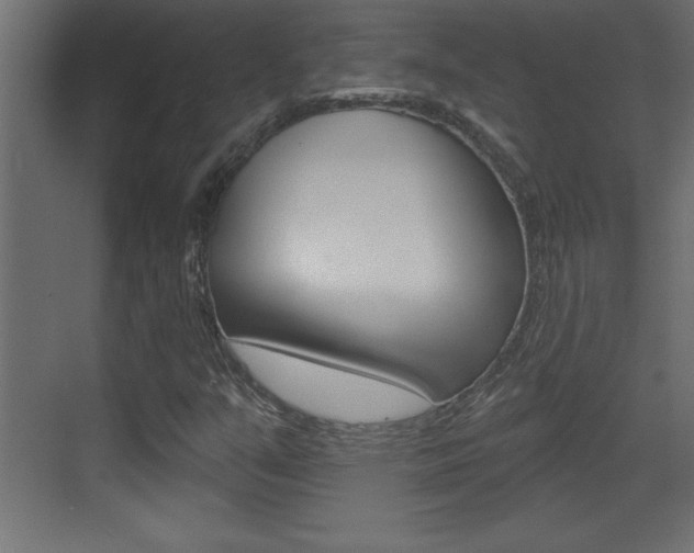 X0000073521351200607310939