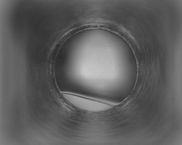 X0000073521352200607310939