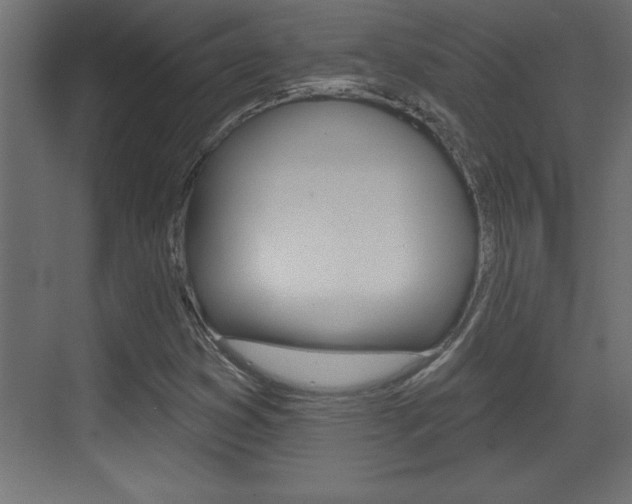 X0000073521353200607310939