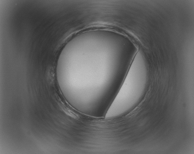 X0000073521355200607310939