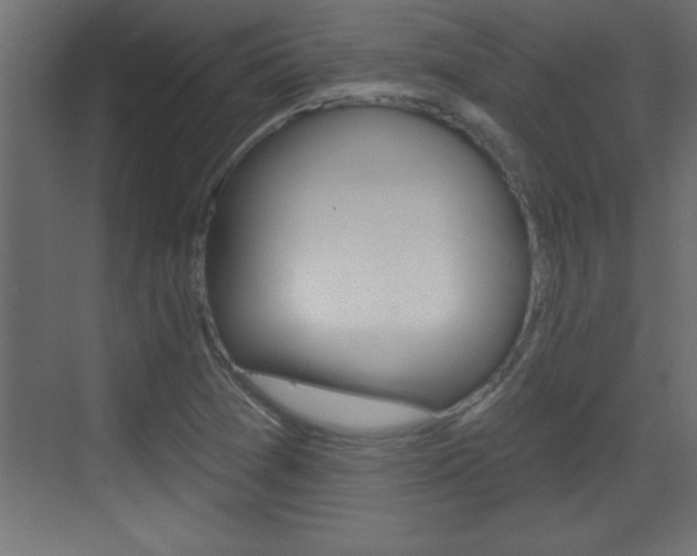 X0000073521361200607310939