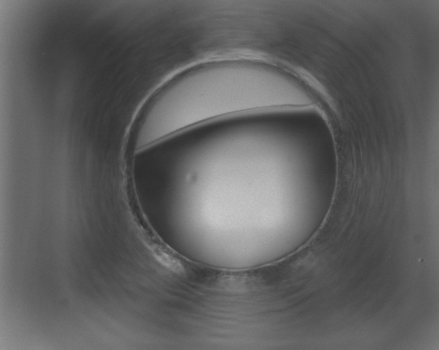 X0000073521364200607310939