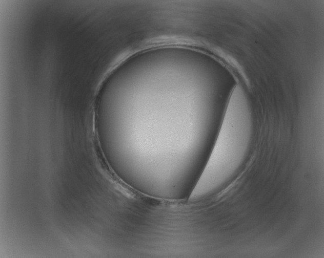 X0000073521365200607310939