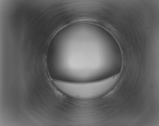 X0000073521369200607310939
