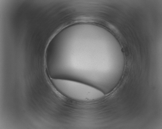 X0000073521370200607310939