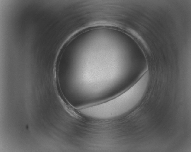 X0000073521372200607310939