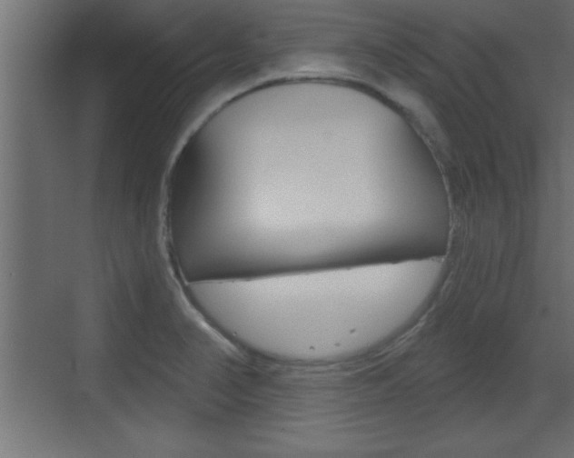 X0000073521374200607310939