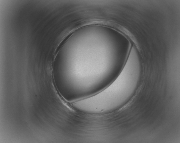 X0000073521377200607310938