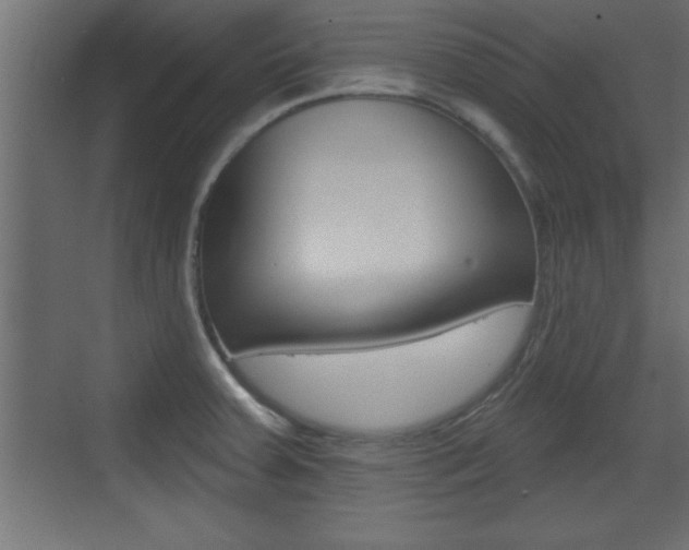 X0000073521379200607310938