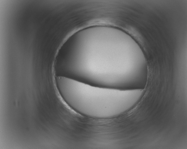 X0000073521382200607310938