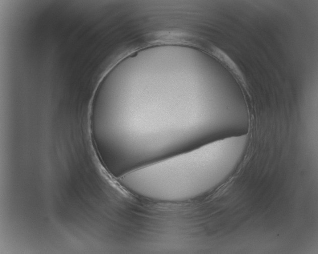 X0000073521386200607310938