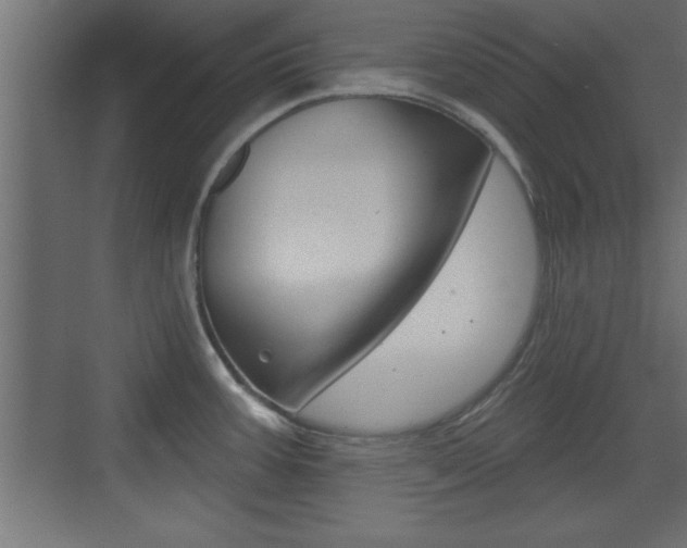 X0000073521387200607310938
