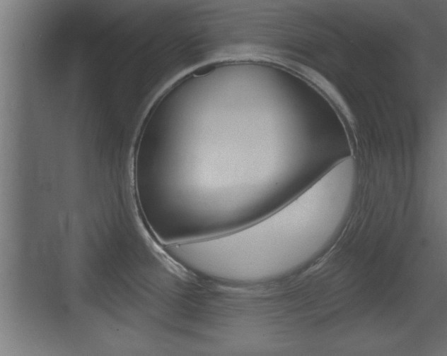 X0000073521388200607310938