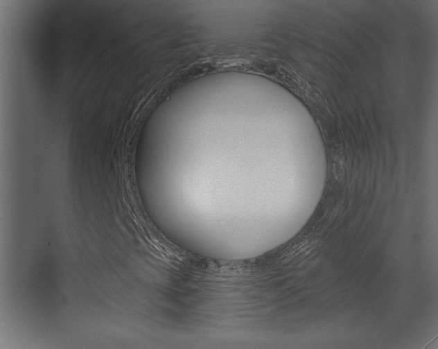 X0000073521393200607310937