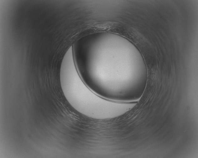 X0000073521394200607310937