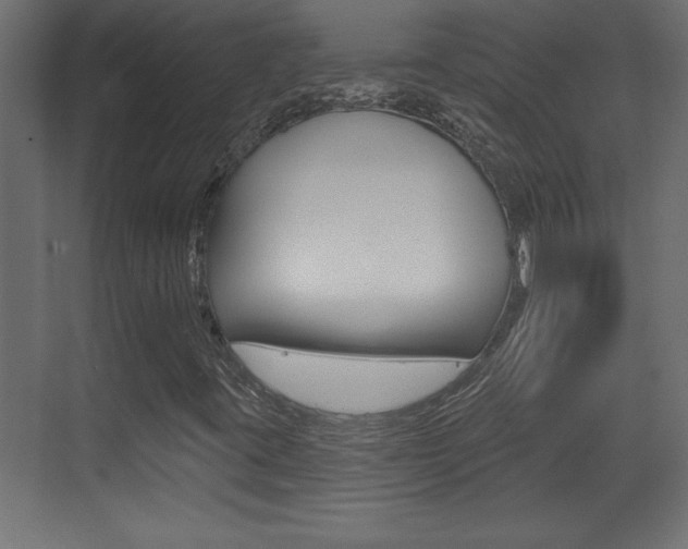 X0000073521395200607310937