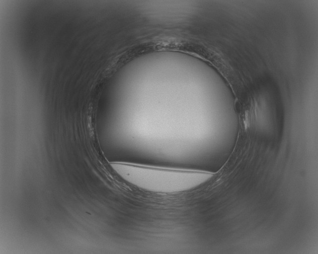 X0000073521396200607310937