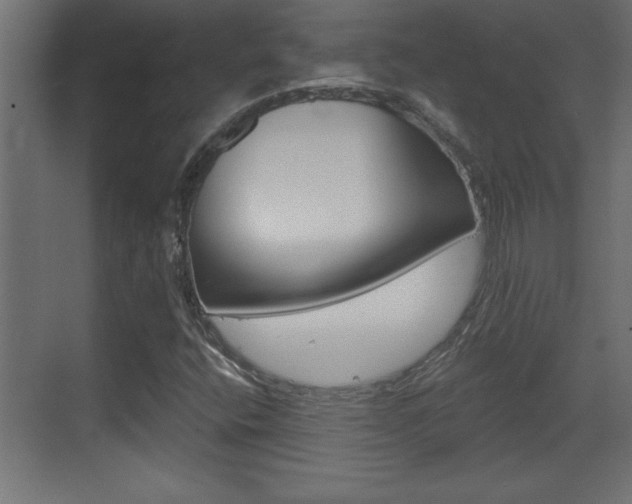 X0000073521400200607310938