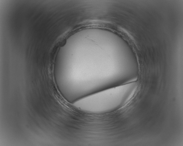 X0000073521403200607310938