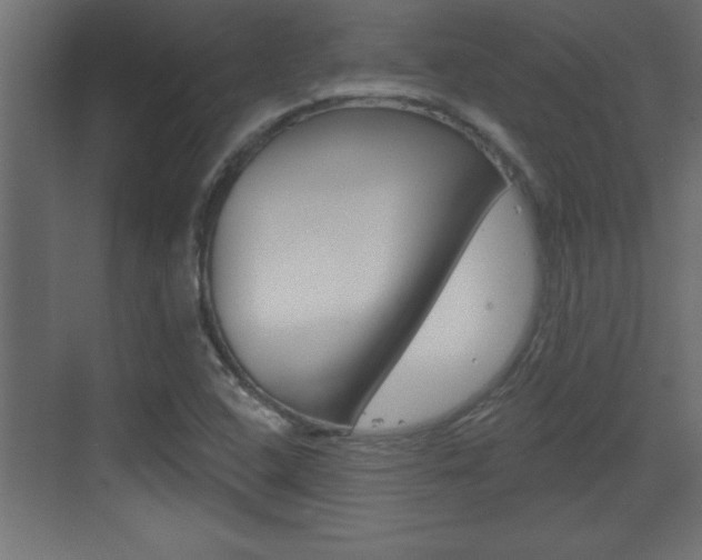 X0000073521408200607310938