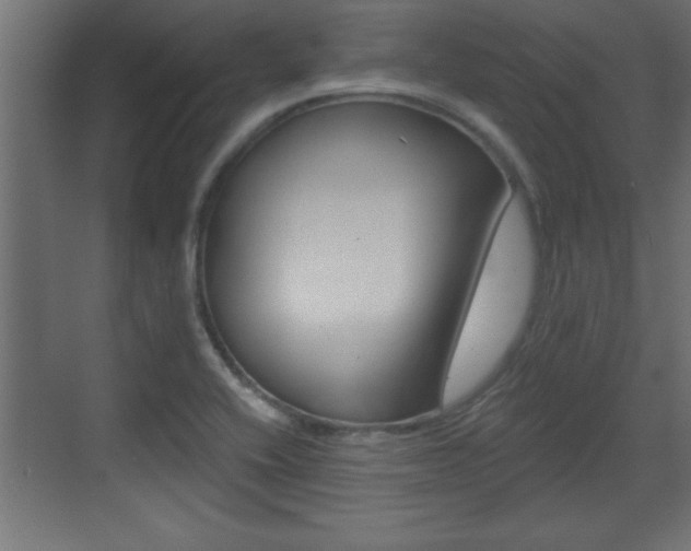 X0000073521416200607310938