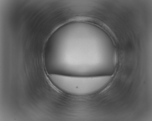 X0000073521417200607310938