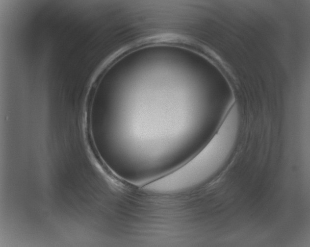 X0000073521418200607310938