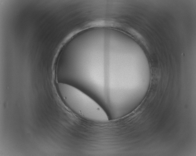 X0000073521419200607310938