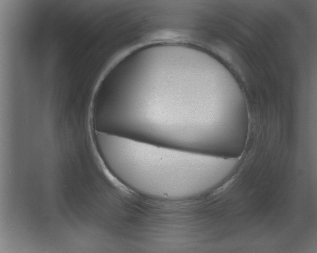 X0000073521421200607310938