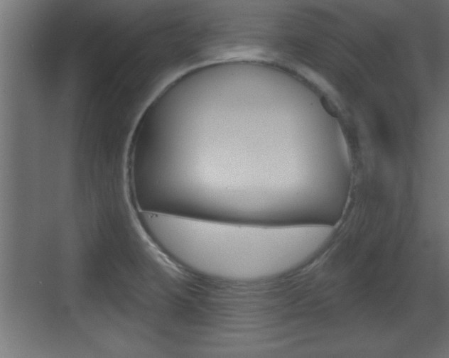 X0000073521423200607310938