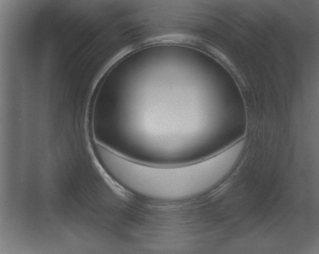 X0000073521426200607310938