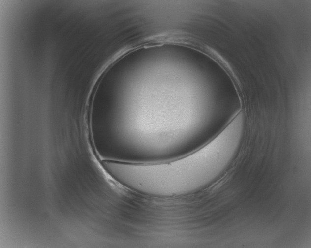 X0000073521434200607310938
