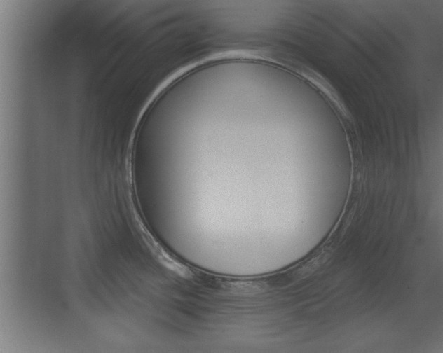 X0000073521436200607310938