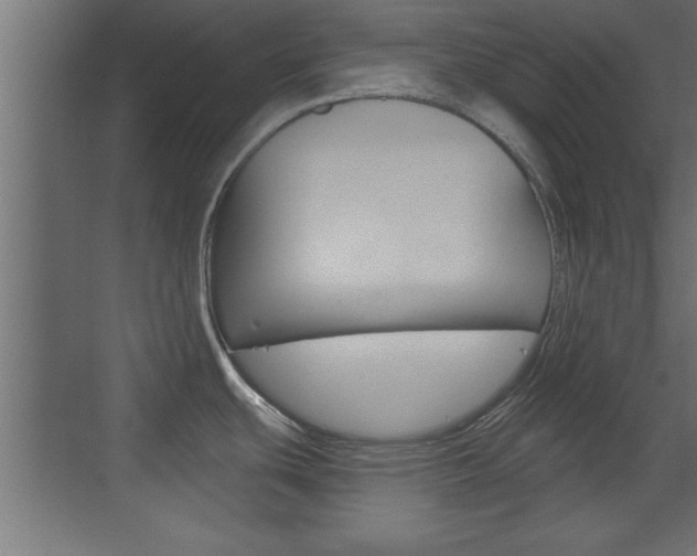 X0000073521439200607310938