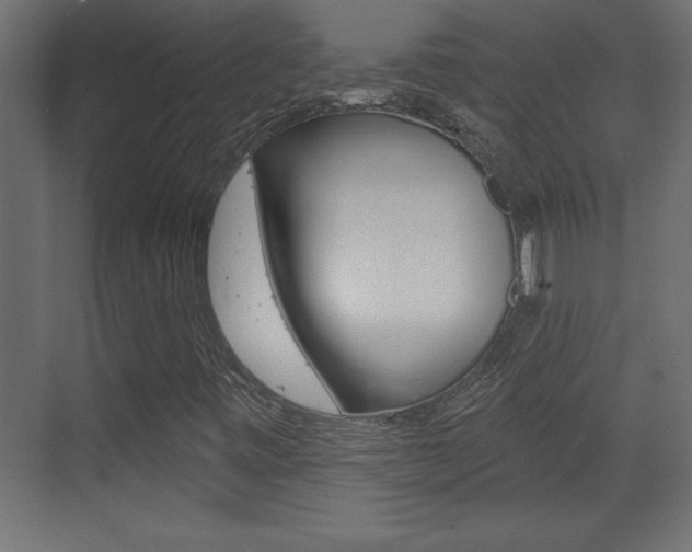 X0000073521443200607310937