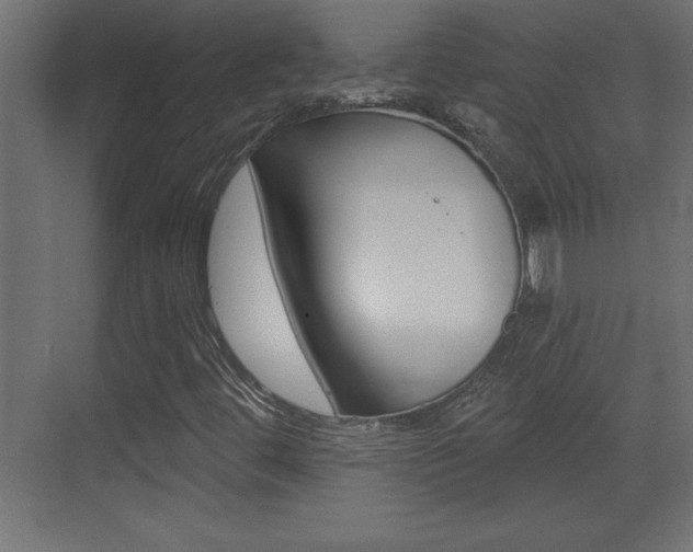 X0000073521444200607310937