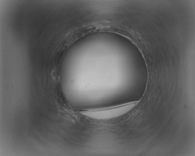 X0000073521445200607310937