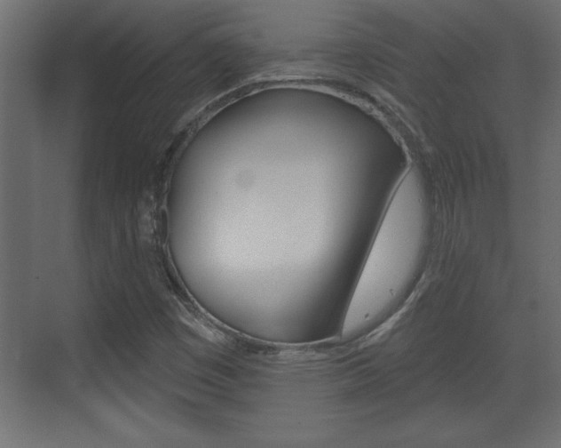 X0000073521449200607310937