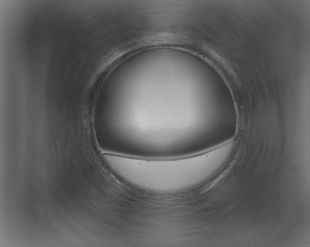 X0000073521453200607310937