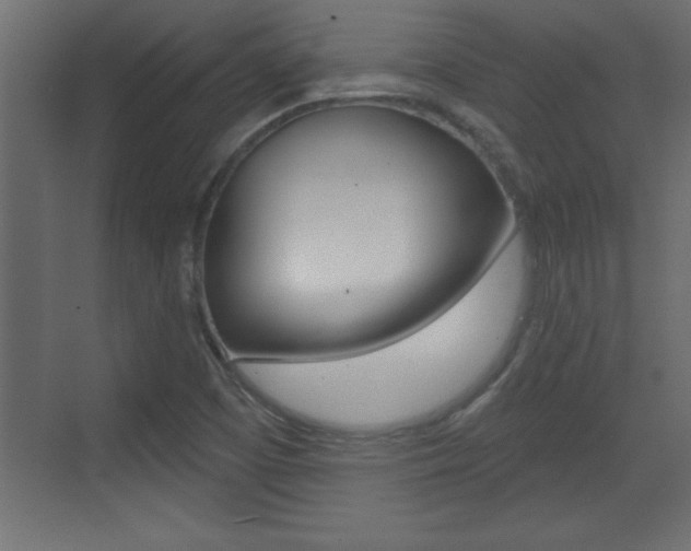 X0000073521457200607310937