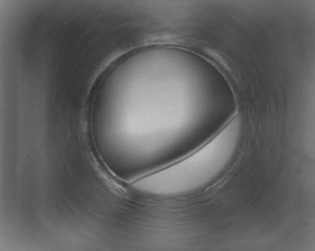 X0000073521458200607310937