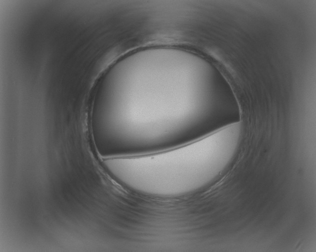 X0000073521459200607310937