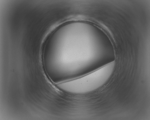 X0000073521464200607310937