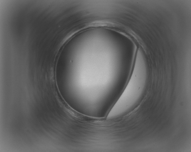 X0000073521465200607310937