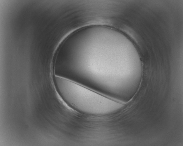 X0000073521468200607310937