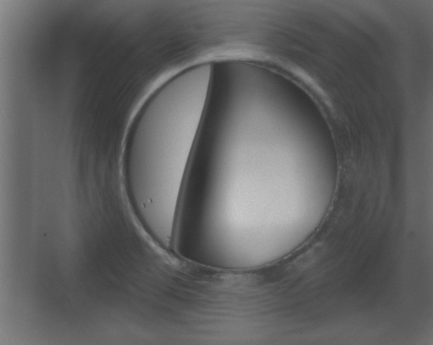 X0000073521469200607310937